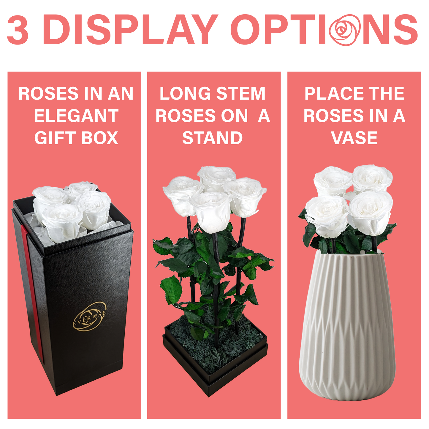 4 White Preserved Real Rose Flowers in a Gift Box