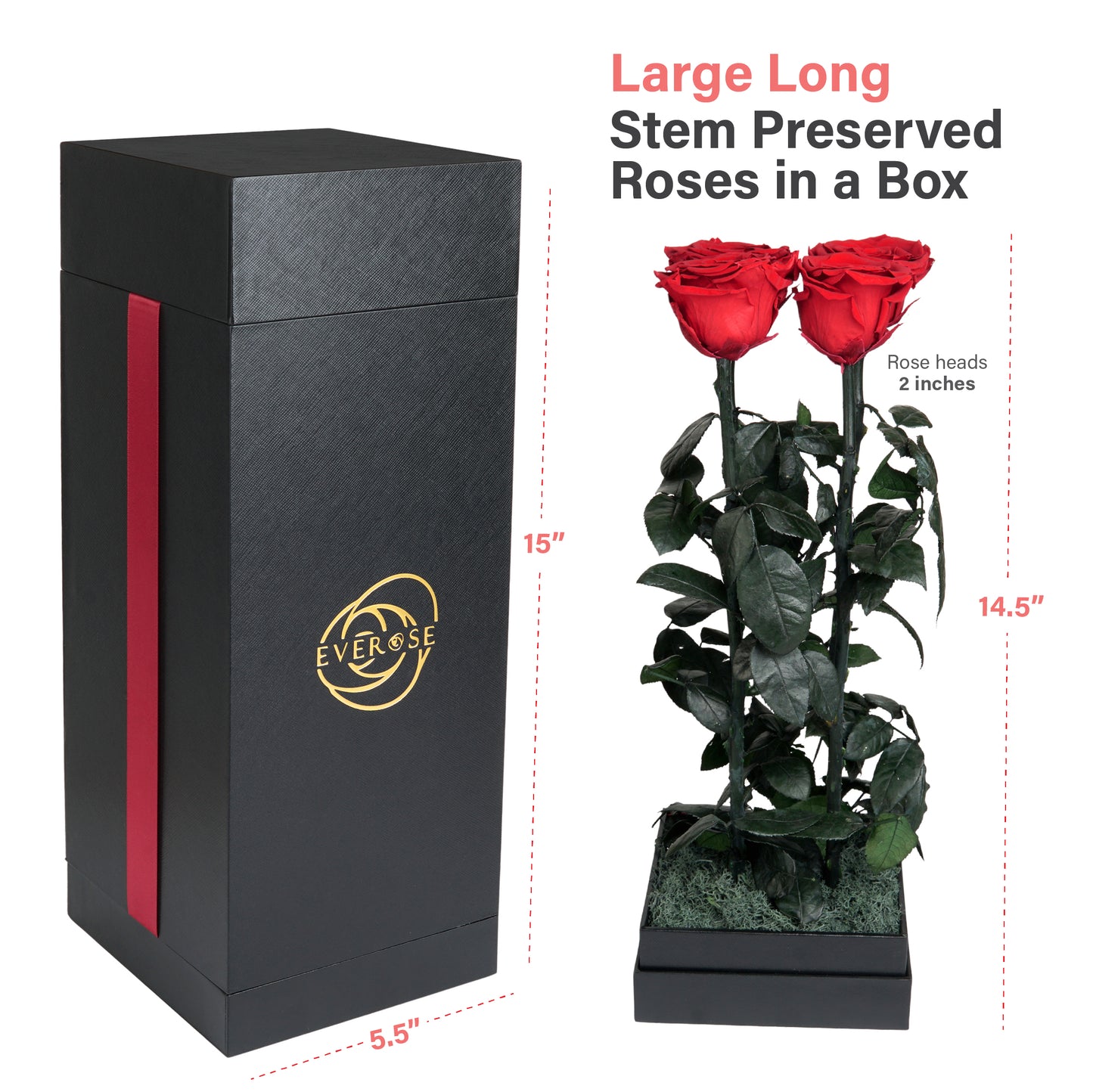 4 Red Preserved Real Rose Flowers in a Gift Box