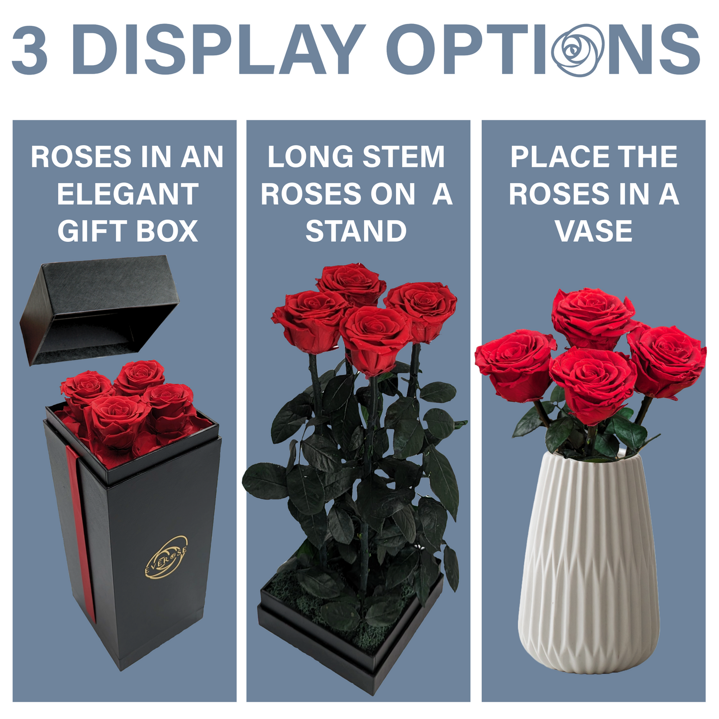 4 Red Preserved Real Rose Flowers in a Gift Box