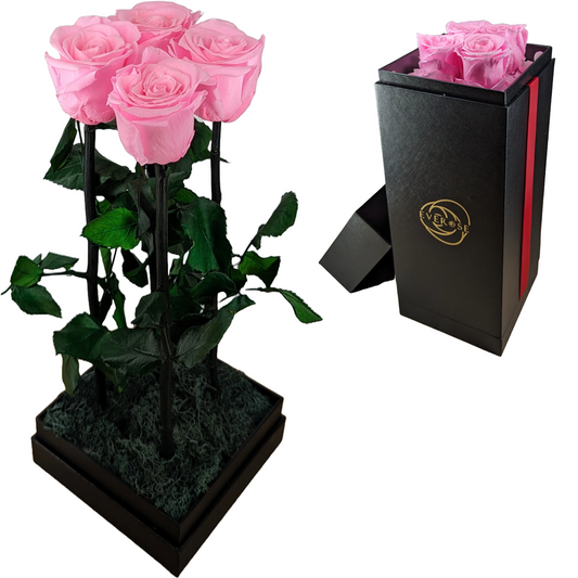 4 Pink Preserved Real Rose Flowers in a Gift Box