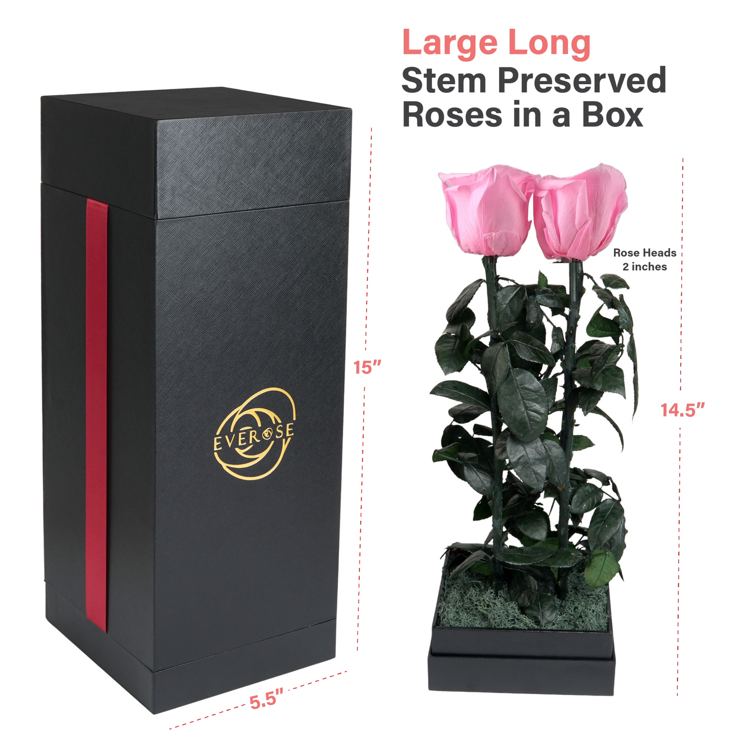 4 Pink Preserved Real Rose Flowers in a Gift Box