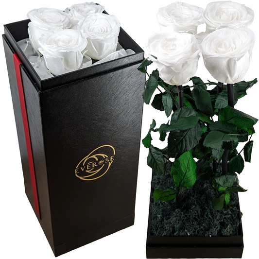 MIX & MATCH - BUY 2 GET 1 FREE! 4 White Real Roses - Preserved Flowers in a Gift Box