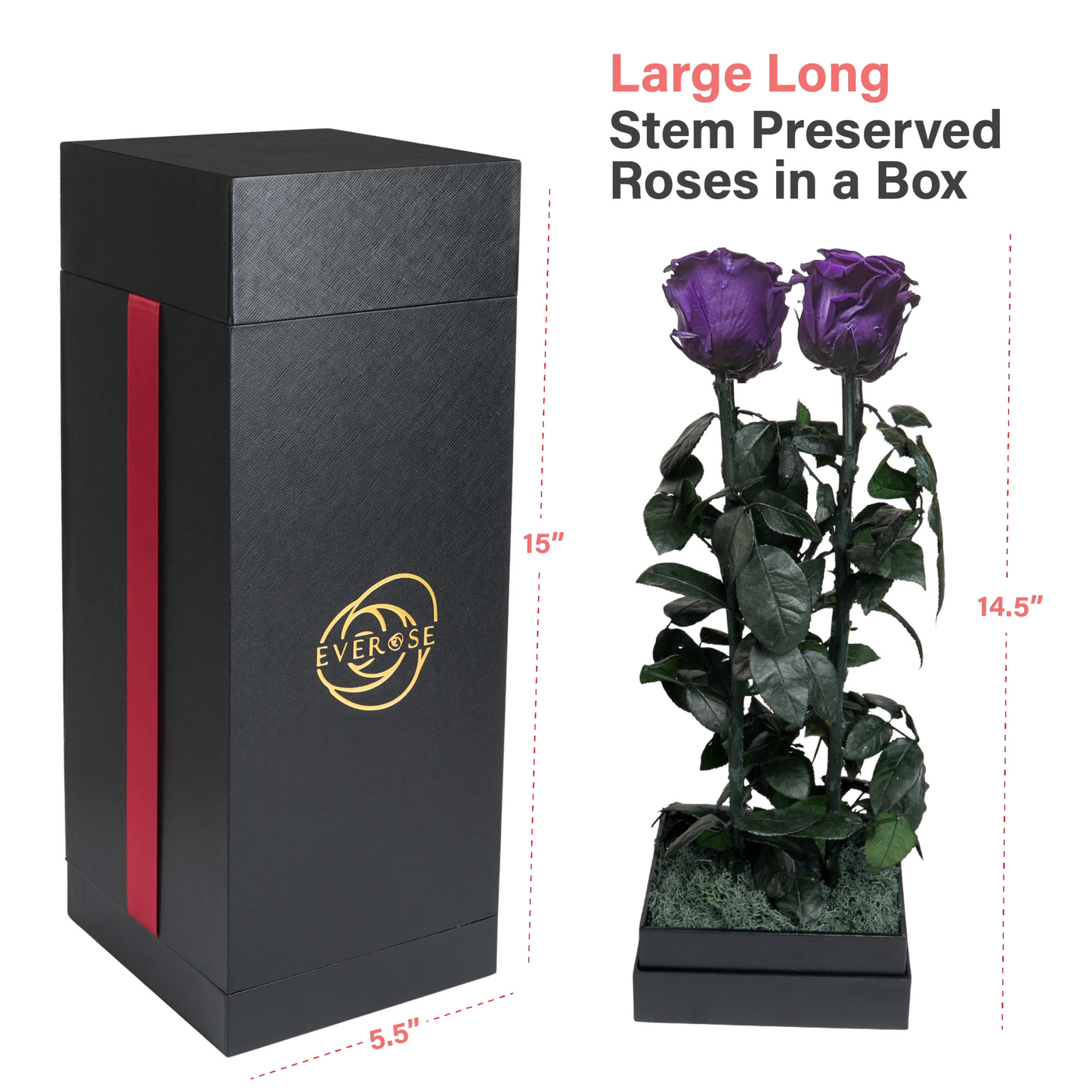 4 Purple Preserved Real Rose Flowers in a Gift Box