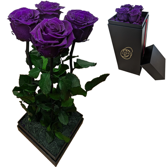 4 Purple Preserved Real Rose Flowers in a Gift Box