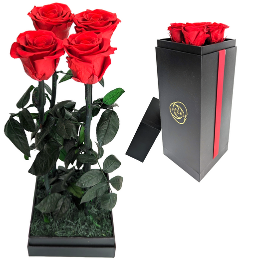 4 Red Preserved Real Rose Flowers in a Gift Box